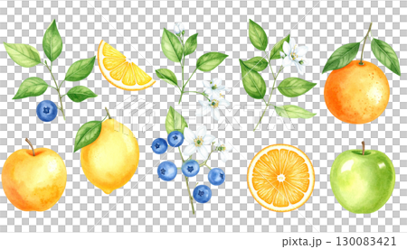 Floral frame and border with fresh fruits and oranges illustration isolated on white background. Floral frame and border with fresh fruits and oranges illustration isolated on white background. 130083421