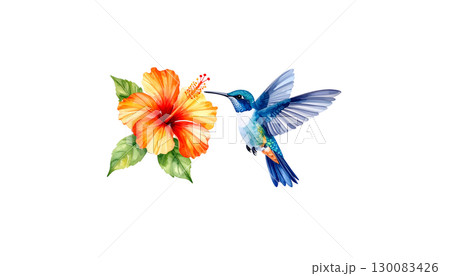 Colorful tropical birds flying with wings spread. Colorful flowers illustration on white background. 130083426