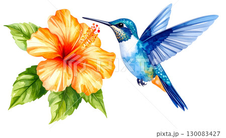 Colorful tropical birds flying with wings spread. Colorful flowers illustration on white background. Colorful tropical birds flying with wings spread. Colorful flowers illustration on white background. 130083427