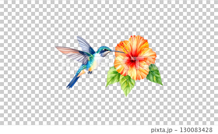 Colorful tropical birds flying with wings spread. Colorful flowers illustration on white background. Colorful tropical birds flying with wings spread. Colorful flowers illustration on white background. 130083428