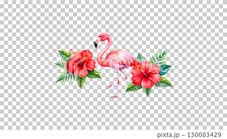 Pink flamingo isolated on white background Pink flamingo isolated on white background 130083429