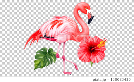 Pink flamingo isolated on white background Pink flamingo isolated on white background 130083430