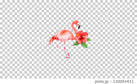 Pink flamingo isolated on white background Pink flamingo isolated on white background 130083431