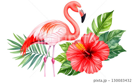 Pink flamingo isolated on white background 130083432