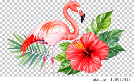 Pink flamingo isolated on white background 130083432
