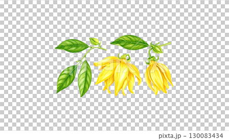 Bright illustration of colorful leaves isolated on white background. 130083434