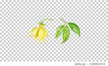 Bright illustration of colorful leaves isolated on white background. 130083435