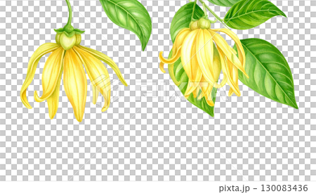 Bright illustration of colorful leaves isolated on white background. Bright illustration of colorful leaves isolated on white background. 130083436
