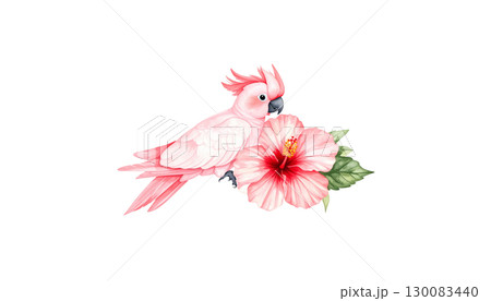 Beautiful illustration of a tropical bird spreading its wings and flying among various flowers isolated on white background. Beautiful illustration of a tropical bird spreading its wings and flying among various flowers isolated on white background. 130083440