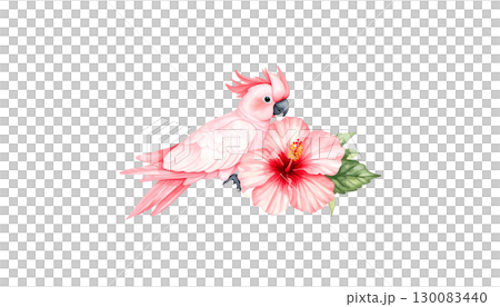 Beautiful illustration of a tropical bird spreading its wings and flying among various flowers isolated on white background. Beautiful illustration of a tropical bird spreading its wings and flying among various flowers isolated on white background. 130083440