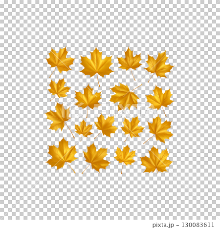 Vibrant illustration of colorful autumn maple leaves isolated on white background. 130083611