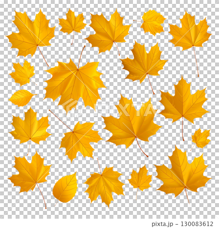 Vibrant illustration of colorful autumn maple leaves isolated on white background. 130083612