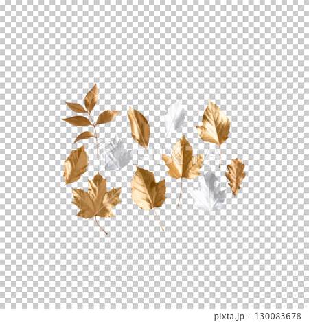 Collection of golden leaves and flower branches isolated on white background. 130083678