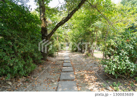 龍泉寺の参道（大阪府富田林市） 130083689