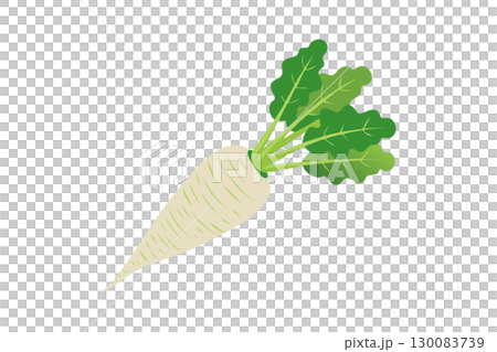 Radish illustration (png) Radish illustration (png) 130083739