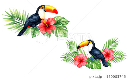 Colorful toucan with prominent beak perched amidst yellow flowers and green leaves in tropical forest isolated on white background 130083746