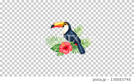 Colorful toucan with prominent beak perched amidst yellow flowers and green leaves in tropical forest isolated on white background 130083748
