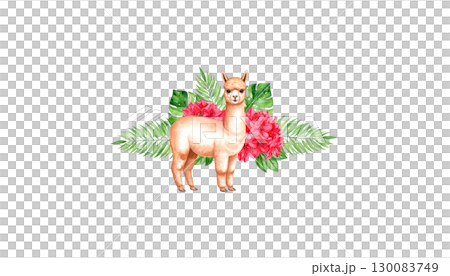 Cute watercolor llama on white background Cute watercolor llama on white background 130083749