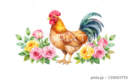 White rooster with red crest and hen isolated on white background. White rooster with red crest and hen isolated on white background. 130083750