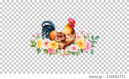 White rooster with red crest and hen isolated on white background. 130083751