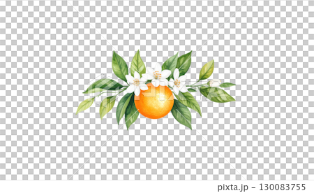 Ripe citrus fruit with green leaves isolated on white 130083755