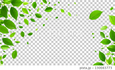 Green background with seamless pattern of leaves. Flowers isolated on white background. 130083773