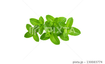 Fresh green mint leaves isolated on white background. Fresh green mint leaves isolated on white background. 130083774