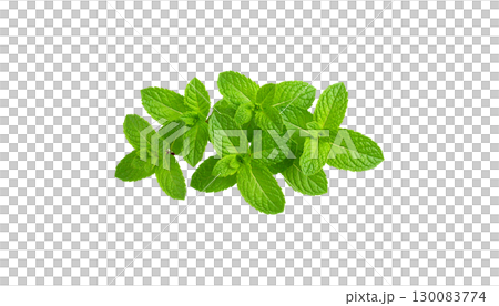 Fresh green mint leaves isolated on white background. Fresh green mint leaves isolated on white background. 130083774