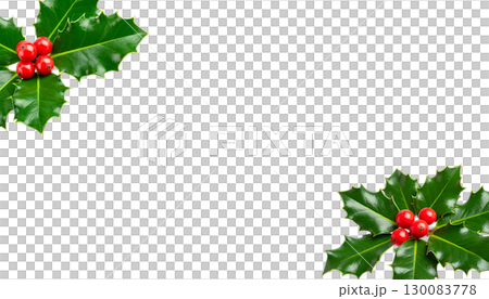 Christmas holly tree with red berries, green leaves, festive decorations isolated on white background. 130083778