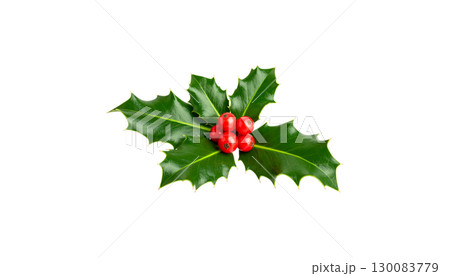 Christmas holly tree with red berries, green leaves, festive decorations isolated on white background. 130083779