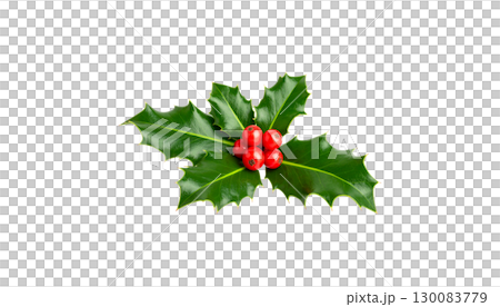 Christmas holly tree with red berries, green leaves, festive decorations isolated on white background. 130083779