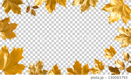 Colorful autumn maple leaves in shades of orange, yellow and red isolated on white background. 130083793