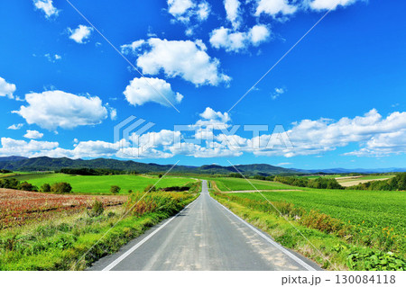 北海道 夏の青空と美瑛の道 北海道 夏の青空と美瑛の道 130084118