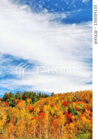 北海道 秋の青空と紅葉の十勝岳 北海道 秋の青空と紅葉の十勝岳 130084135