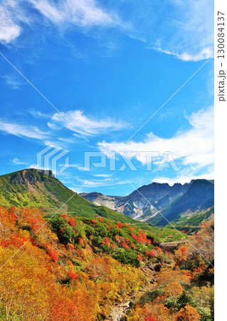 北海道　秋の青空と紅葉の十勝岳 130084137