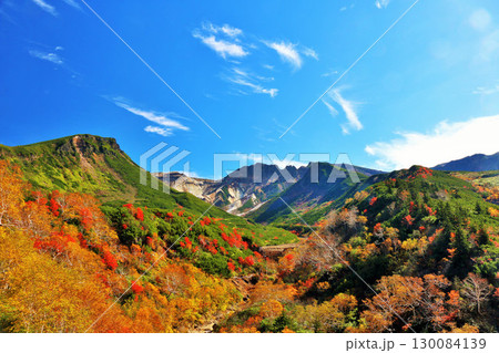北海道 秋の青空と紅葉の十勝岳 北海道 秋の青空と紅葉の十勝岳 130084139