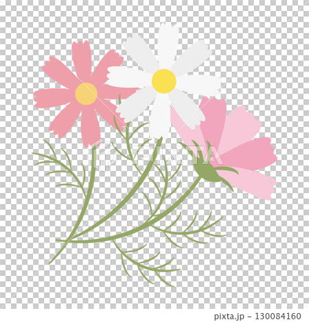 Simple cosmos illustration 130084160