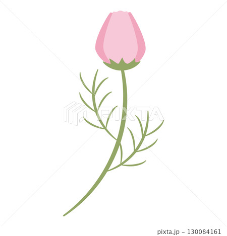 ピンクの花の蕾 ピンクの花の蕾 130084161