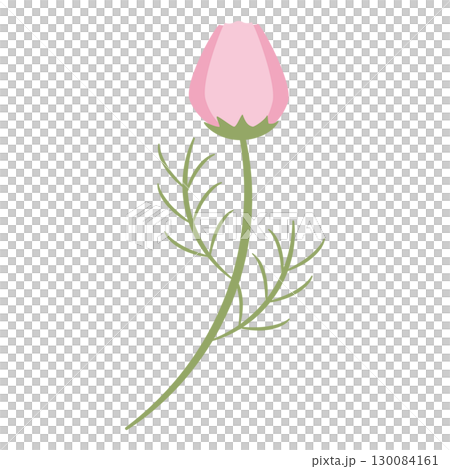 粉紅色的花蕾 130084161