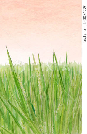 水彩で描いた夕焼け空と稲穂の風景【手描き】コピースペースあり 130084220