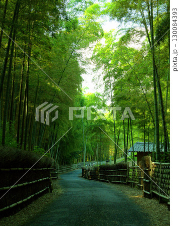 京都府向日市の「竹の径」の美しい竹林の小径 130084393
