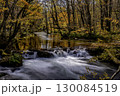 秋の紅葉に染まる奥入瀬渓流 130084519