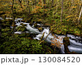 秋の紅葉に染まる奥入瀬渓流 130084520