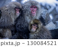 温泉に入る地獄谷猿園の猿 130084521