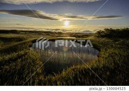 朝日に照らされる月山弥陀ヶ原の池塘 130084525