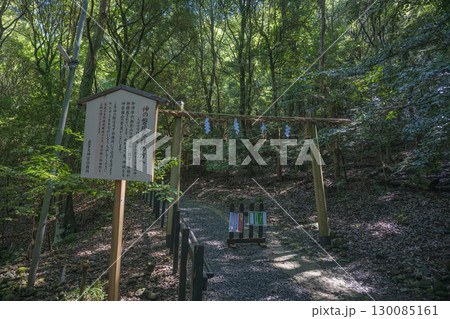 京都亀岡 出雲大神宮 神奈備山の磐座へ続く参道 130085161