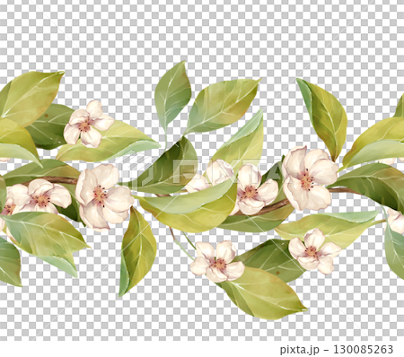 Hand-drawn illustration of a seamless border with delicate white flowers and leaves 130085263