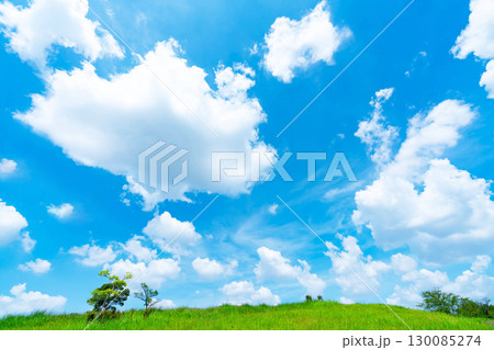 青空と雲と草原 青空と雲と草原 130085274