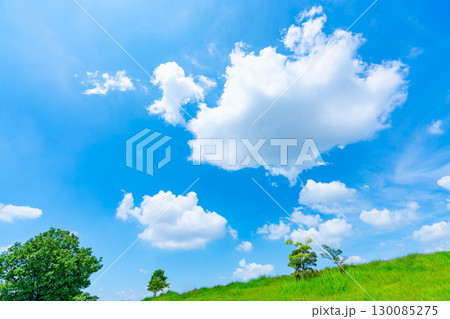 青空と雲と草原 青空と雲と草原 130085275
