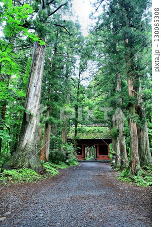 御神体『戸隠山』へ真っ直ぐ続く約2kmの参道… 戸隠神社・奥社【随神門】 御神体『戸隠山』へ真っ直ぐ続く約2kmの参道… 戸隠神社・奥社【随神門】 130085308